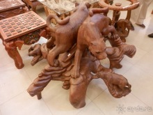 Шри-Ланка - Ботанический сад и немного магазинов