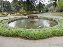 Шри-Ланка - Ботанический сад и немного магазинов