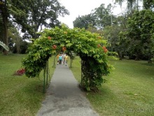 Шри-Ланка - Ботанический сад и немного магазинов