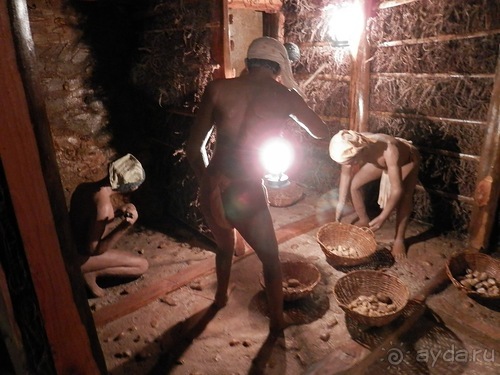 Шри-Ланка - Ботанический сад и немного магазинов