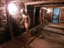 Шри-Ланка - Ботанический сад и немного магазинов