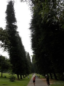 Шри-Ланка - Ботанический сад и немного магазинов