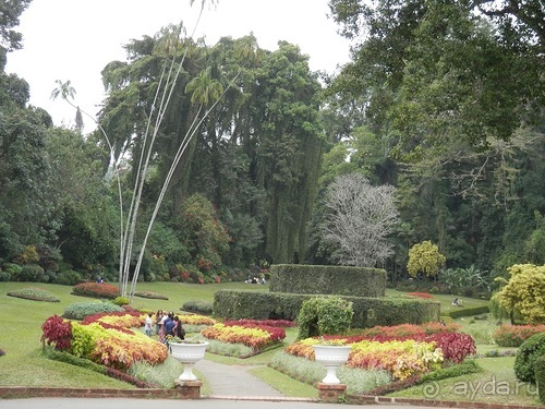 Шри-Ланка - Ботанический сад и немного магазинов