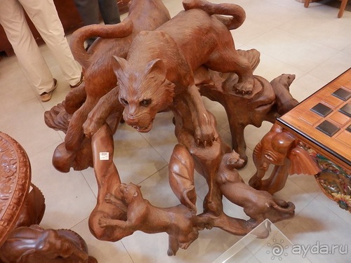 Шри-Ланка - Ботанический сад и немного магазинов