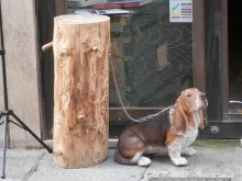 Из Милана в Брешиа