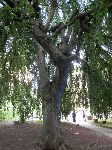 Из Милана в Брешиа