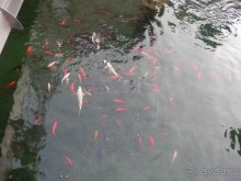 Из Милана в Брешиа