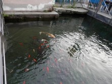 Из Милана в Брешиа