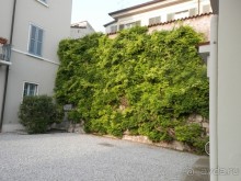 Из Милана в Брешиа