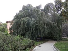 Из Милана в Брешиа