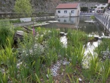 Из Милана в Брешиа