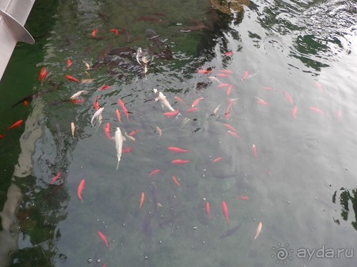 Из Милана в Брешиа