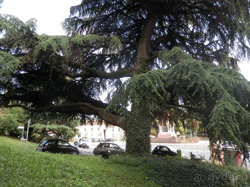 Из Милана в Брешиа