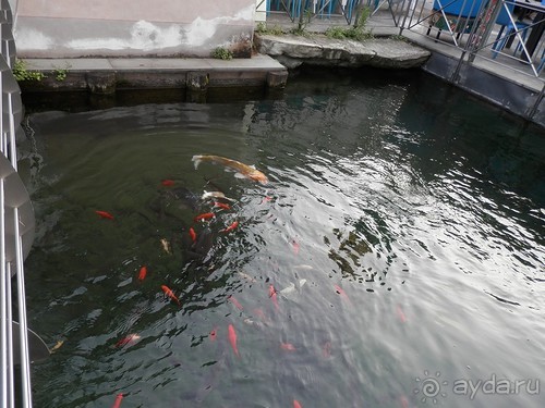 Из Милана в Брешиа