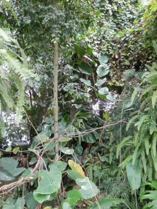 Яхта - подвожу итоги путешествия