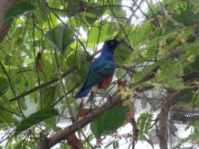 Яхта - подвожу итоги путешествия