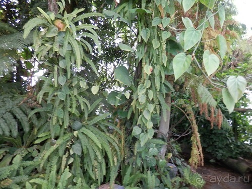 Яхта - подвожу итоги путешествия