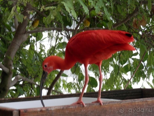 Яхта - подвожу итоги путешествия