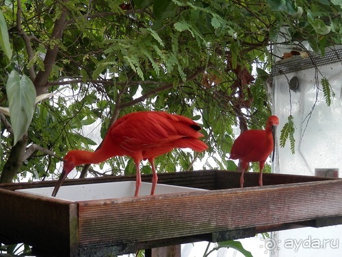 Яхта - подвожу итоги путешествия