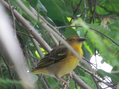 Яхта - подвожу итоги путешествия