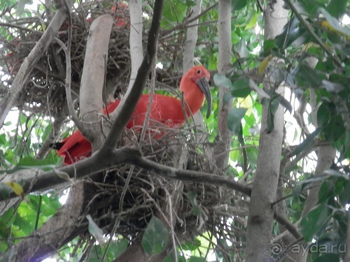 Яхта - подвожу итоги путешествия