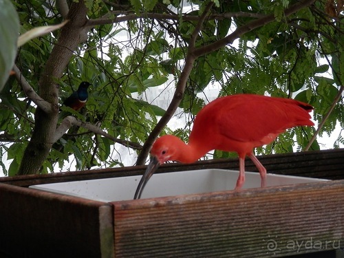Яхта - подвожу итоги путешествия