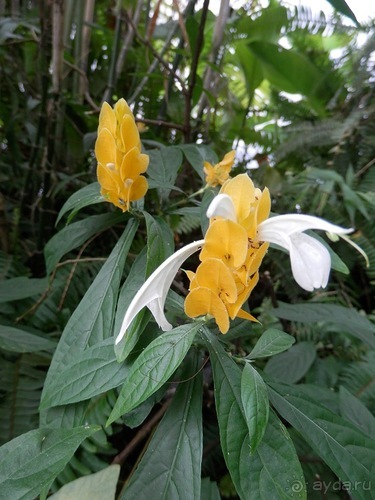 Яхта - подвожу итоги путешествия