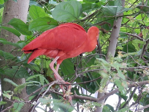 Яхта - подвожу итоги путешествия