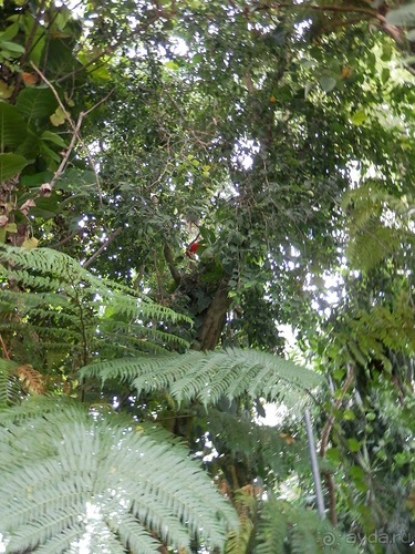 Яхта - подвожу итоги путешествия