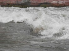 Завершение рассказа про Турин