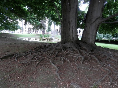Завершение рассказа про Турин