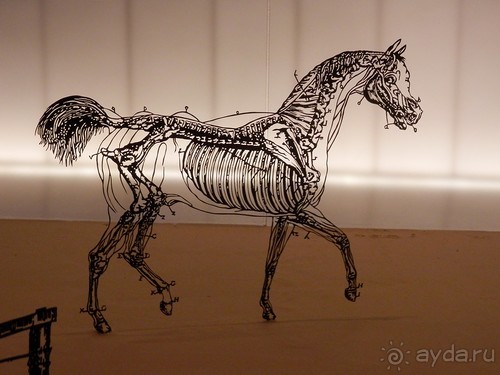 Музей Израиля - синагоги в разных культурах и много чего другого