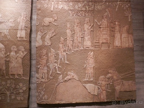 Музей Израиля - синагоги в разных культурах и много чего другого