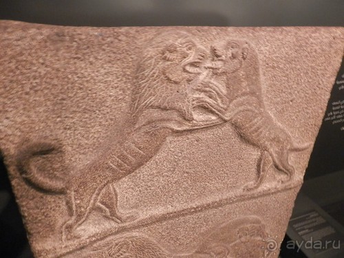 Музей Израиля - синагоги в разных культурах и много чего другого