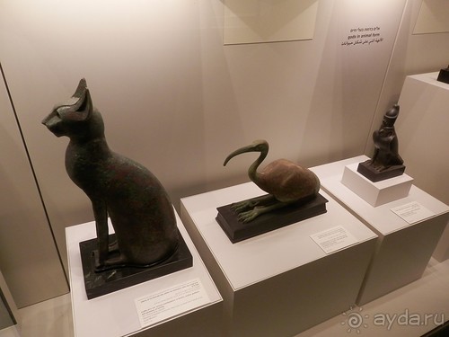 Музей Израиля - синагоги в разных культурах и много чего другого