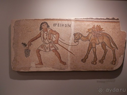 Музей Израиля - синагоги в разных культурах и много чего другого