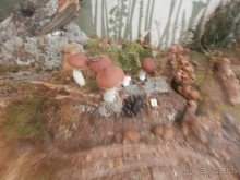 Нижний Новгород, продолжение