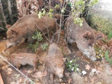 Нижний Новгород, продолжение