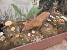 Нижний Новгород, продолжение