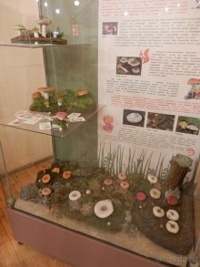 Нижний Новгород, продолжение