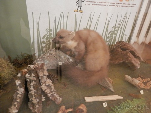 Нижний Новгород, продолжение