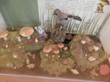 Нижний Новгород, продолжение