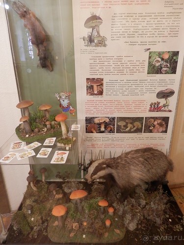 Нижний Новгород, продолжение