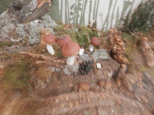 Нижний Новгород, продолжение