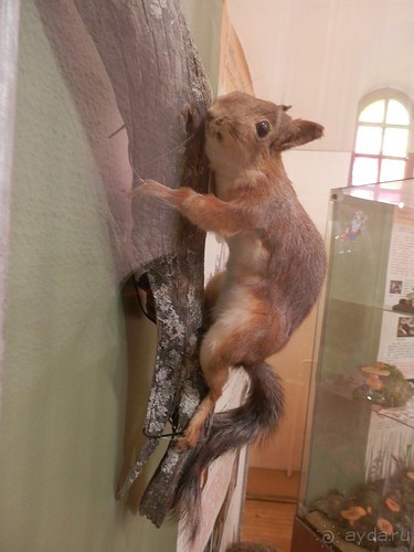 Нижний Новгород, продолжение