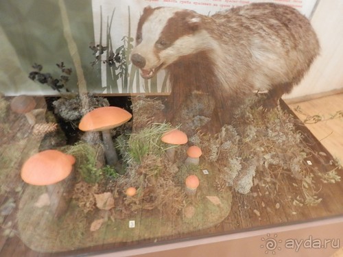 Нижний Новгород, продолжение