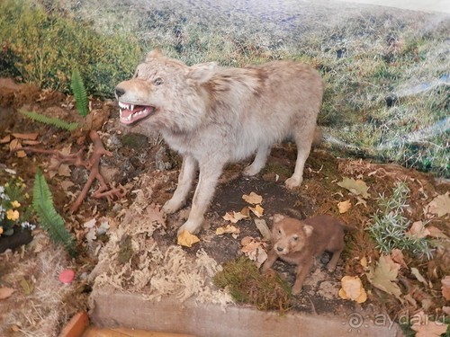 Нижний Новгород, продолжение