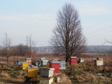 Владимир и Боголюбово