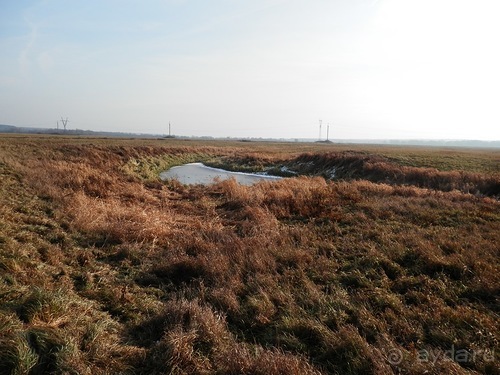 Владимир и Боголюбово