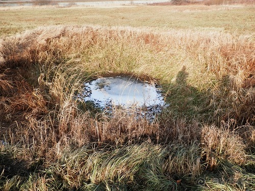Владимир и Боголюбово